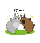 しあわせうさぎ ピータン＆ハッチー（個別スタンプ：8）