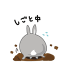 しあわせうさぎ ピータン＆ハッチー（個別スタンプ：19）