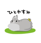 しあわせうさぎ ピータン＆ハッチー（個別スタンプ：20）