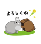 しあわせうさぎ ピータン＆ハッチー（個別スタンプ：24）