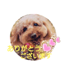 穏やかな挨拶（個別スタンプ：2）