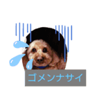 穏やかな挨拶（個別スタンプ：7）