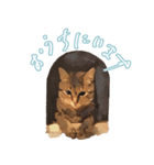 麦わら猫のアルさん（個別スタンプ：4）