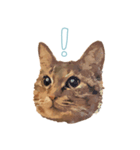 麦わら猫のアルさん（個別スタンプ：13）