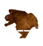 トトさんのご挨拶（個別スタンプ：8）