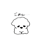 マルチーズのコロン（個別スタンプ：7）