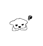 マルチーズのコロン（個別スタンプ：8）