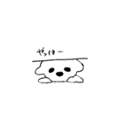 マルチーズのコロン（個別スタンプ：35）