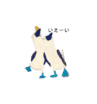 ParakeetM（個別スタンプ：3）