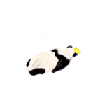ParakeetM（個別スタンプ：4）
