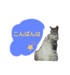 りんりんの日常4（個別スタンプ：8）