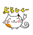 たまねこのスタンプ（個別スタンプ：13）