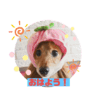 ココナツの明るい未来にSuperJump！(完結版)（個別スタンプ：2）