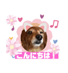 ココナツの明るい未来にSuperJump！(完結版)（個別スタンプ：3）