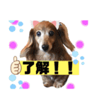 ココナツの明るい未来にSuperJump！(完結版)（個別スタンプ：7）