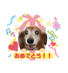 ココナツの明るい未来にSuperJump！(完結版)（個別スタンプ：9）