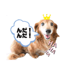 ココナツの明るい未来にSuperJump！(完結版)（個別スタンプ：11）