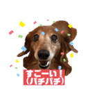 ココナツの明るい未来にSuperJump！(完結版)（個別スタンプ：14）