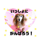 ココナツの明るい未来にSuperJump！(完結版)（個別スタンプ：23）