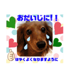 ココナツの明るい未来にSuperJump！(完結版)（個別スタンプ：24）