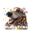 ココナツの明るい未来にSuperJump！(完結版)（個別スタンプ：33）