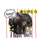 ココナツの明るい未来にSuperJump！(完結版)（個別スタンプ：40）