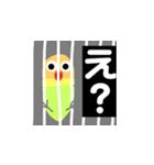 ボタンインコのおでめ（個別スタンプ：18）