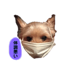 ろまん君①（個別スタンプ：7）