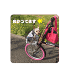 ろまん君①（個別スタンプ：9）