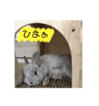 うさぎのほこりくん（個別スタンプ：7）