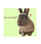 うさぎのほこりくん（個別スタンプ：14）