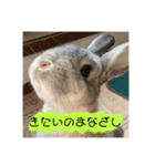 うさぎのほこりくん（個別スタンプ：18）