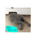 うさぎのほこりくん（個別スタンプ：22）