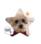 元気になーーれ（個別スタンプ：3）
