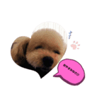 元気になーーれ（個別スタンプ：4）