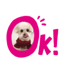 元気になーーれ（個別スタンプ：5）