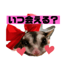 ルンちゃんの日常4♀（個別スタンプ：1）