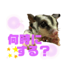 ルンちゃんの日常4♀（個別スタンプ：3）
