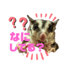 ルンちゃんの日常4♀（個別スタンプ：5）