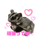 ルンちゃんの日常4♀（個別スタンプ：6）
