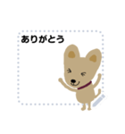 犬のコロン 2（個別スタンプ：5）