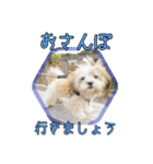 しずえ1（個別スタンプ：6）