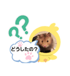 メルちゃんスタンプ(* ´ ▽ ` *)（個別スタンプ：16）