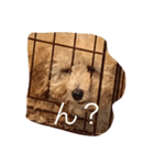 M.こたろう（個別スタンプ：1）