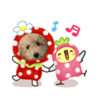 M.こたろう（個別スタンプ：3）