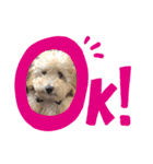 M.こたろう（個別スタンプ：5）