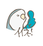 コザクラインコのまる（個別スタンプ：6）