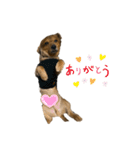 チルユズスタンプ完全版（個別スタンプ：8）