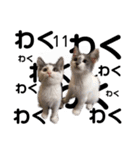 猫のまつりちゃんスタンプ（個別スタンプ：11）
