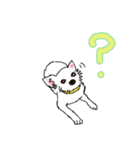 めいともも（個別スタンプ：19）